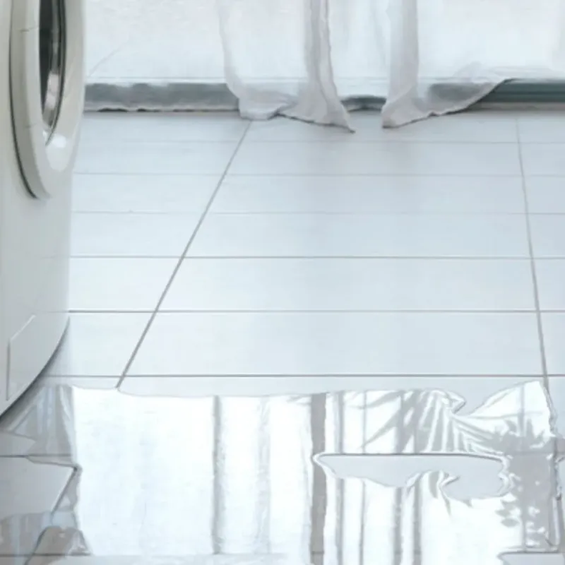 Appliance Leak Cleanup in Belle Haven, VA