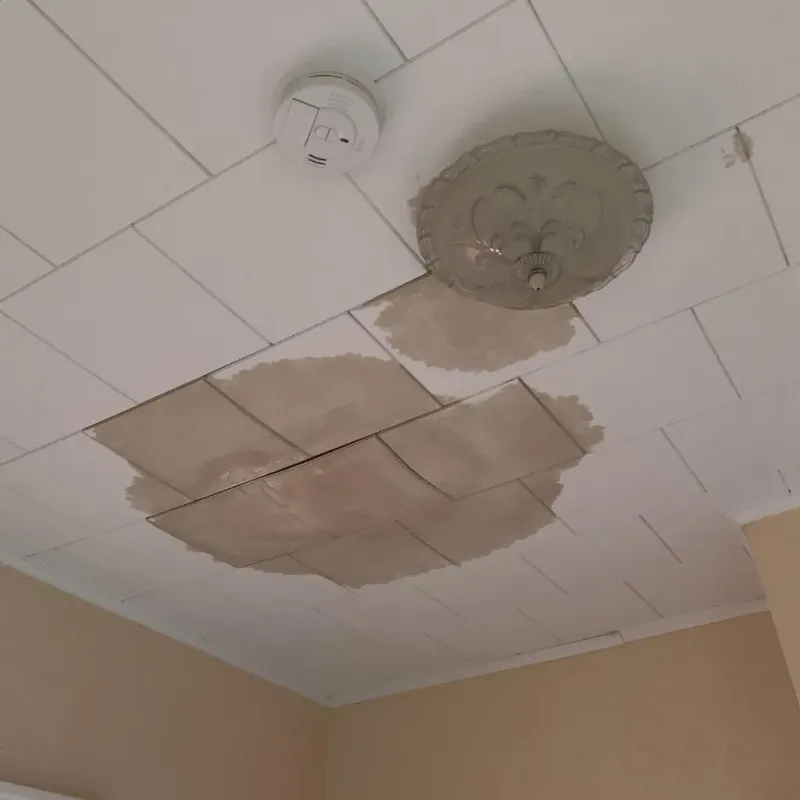 Ceiling Water Damage Repair in Belle Haven, VA