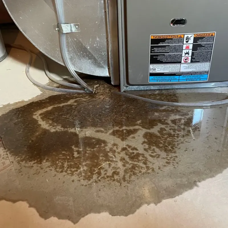 Pipe Burst and Leak Restoration in Belle Haven, VA