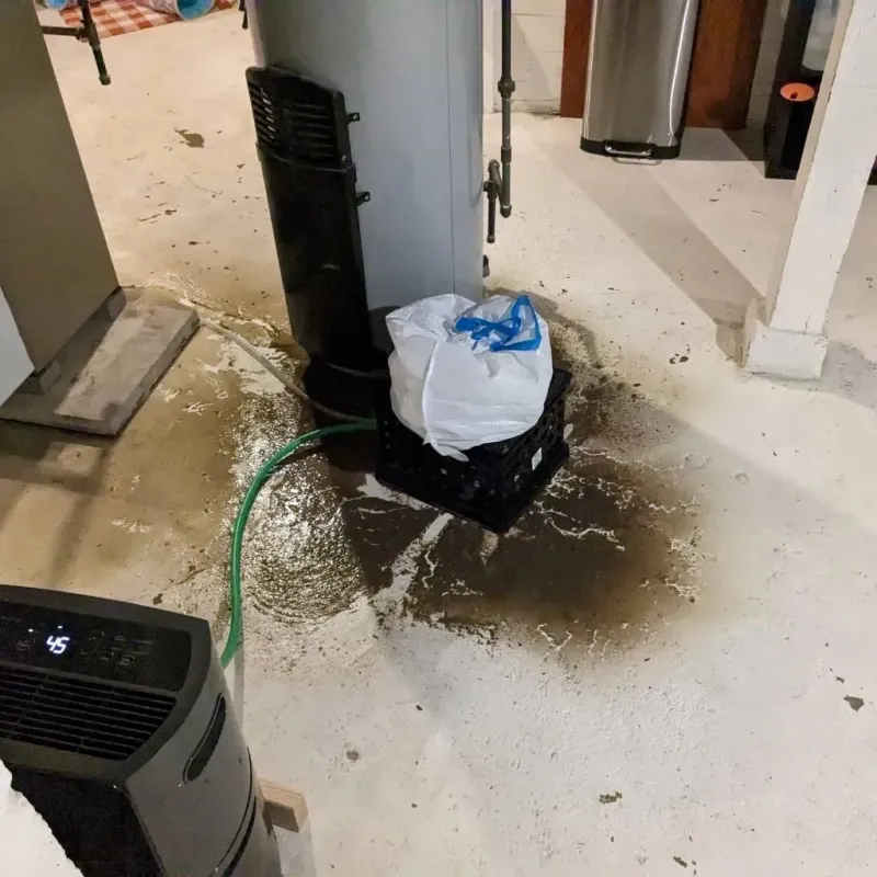 Sewage Backup Cleanup Service in Belle Haven, VA